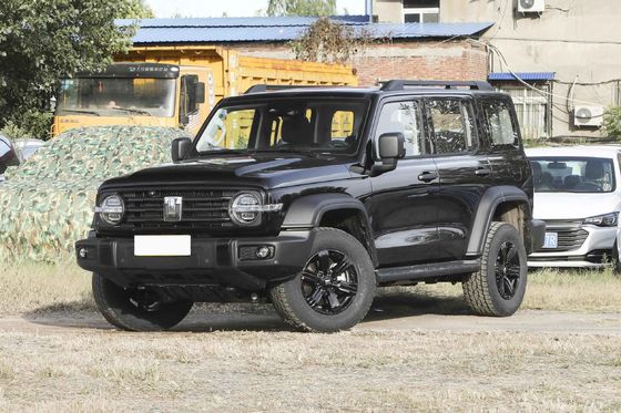 Tank 300 Young People Automatic Fuel Powered Car 5 Seats High Speed