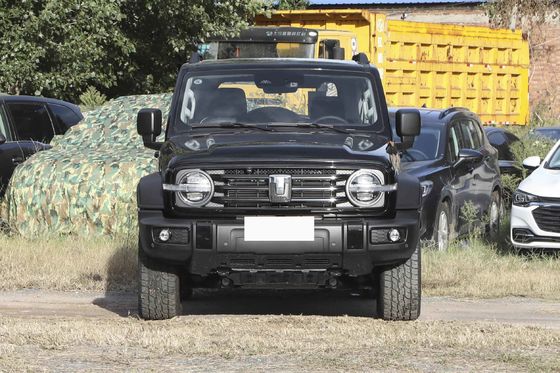 Tank 300 Young People Automatic Fuel Powered Car 5 Seats High Speed