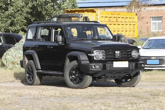 Tank 300 Young People Automatic Fuel Powered Car 5 Seats High Speed