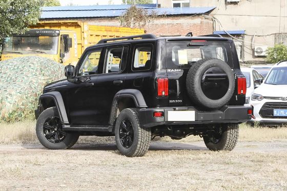 Tank 300 Young People Automatic Fuel Powered Car 5 Seats High Speed