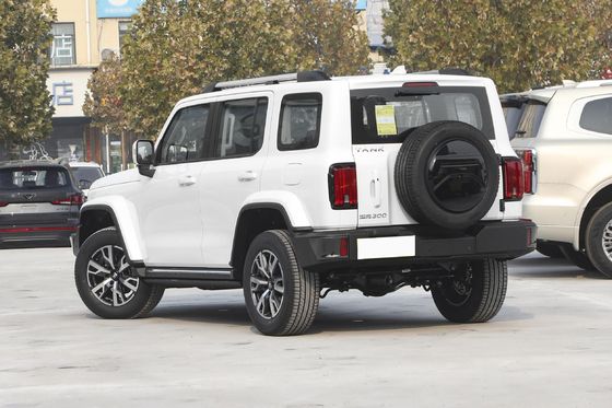  300 5-Door Fuel Powered Car Width 1930mm